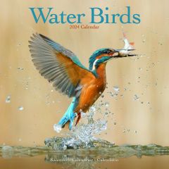 Waterbirds calendar 2024
