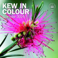 Kew In Colour Calendar 2024