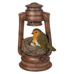 Robin's Nest in Lantern