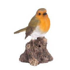 Singing Robin on Stump
