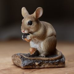 Derek the Dormouse