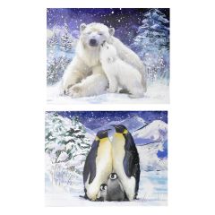 Polar Bear King Penguin Cards