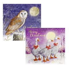 Owl & Geese Christmas Cards