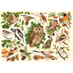 Woodland Birds 500-XL Piece Jigsaw