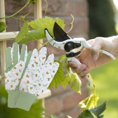 Bee Glove and Pruner Set