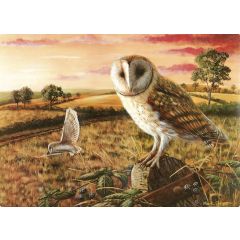 Far Afield Owls Worktop Protector