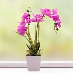 Faux Fuchsia Potted Orchid