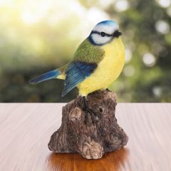 Singing Blue Tit on Stump