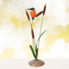 Kingfisher on Bulrushes