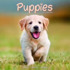 Puppies Calendar 2026