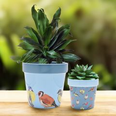 Birds Set of Two Planters
