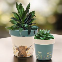 Highland Cows Set of Two Planters