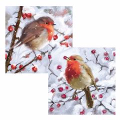 Hawthorn & Berries Saver Set