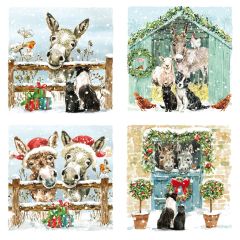 Donkey & Friends Saver Set