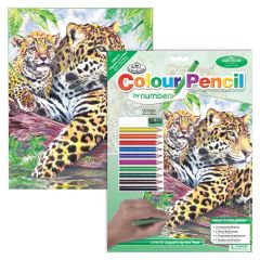 Jaguar & Cub Pencil-By-Number Kit